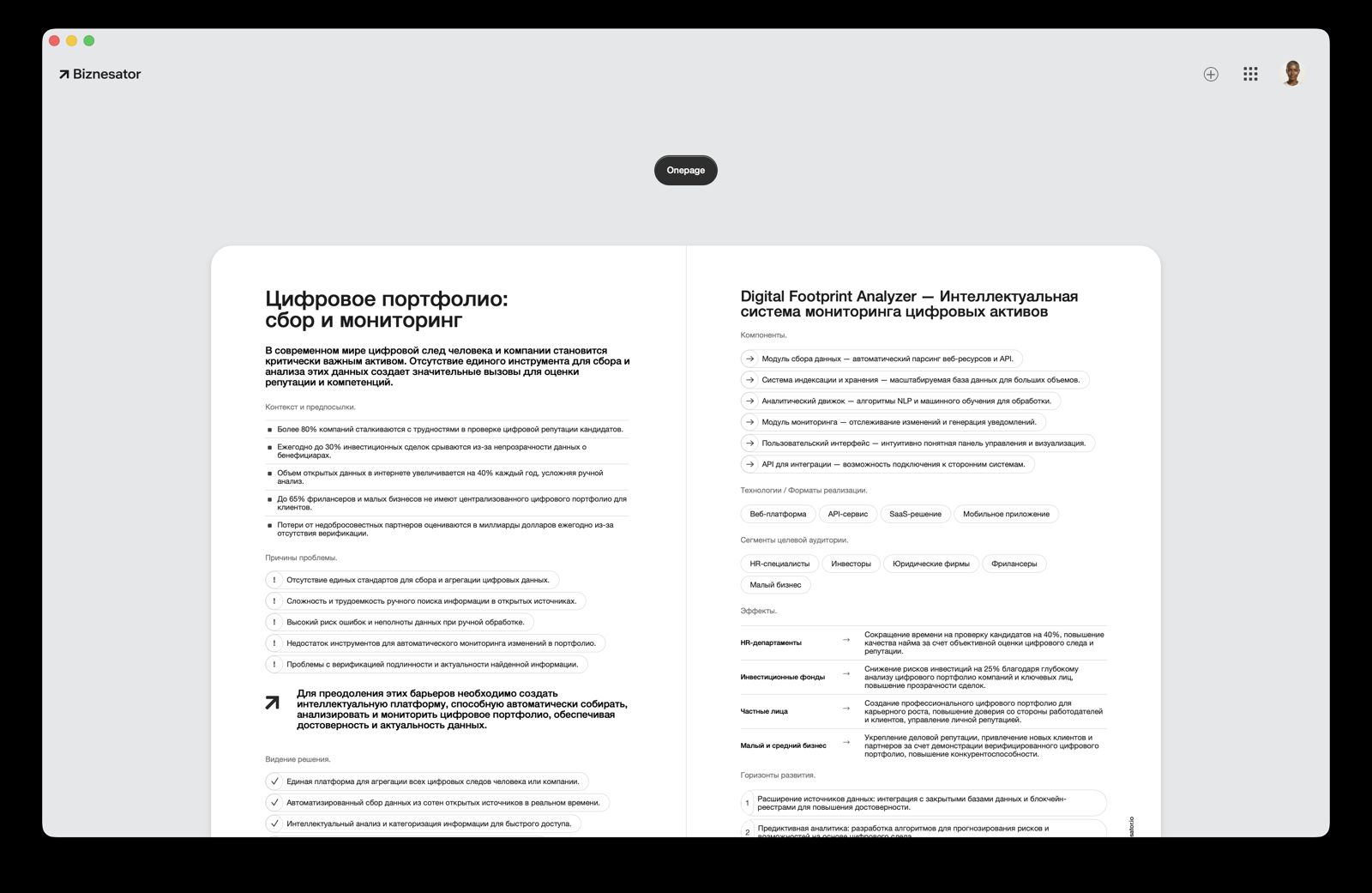 Biznesator — сгенерированная стратегия